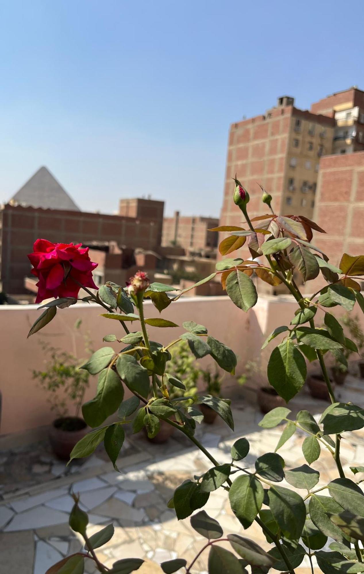 Casa de hóspedes Badr Pyramids View *